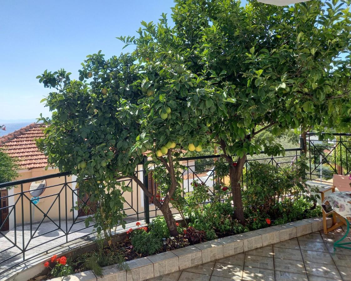 Вилла Πηλιο- Το Εξοχικο Τησ Αννασ- Αφησσοσ Афиссос Экстерьер фото