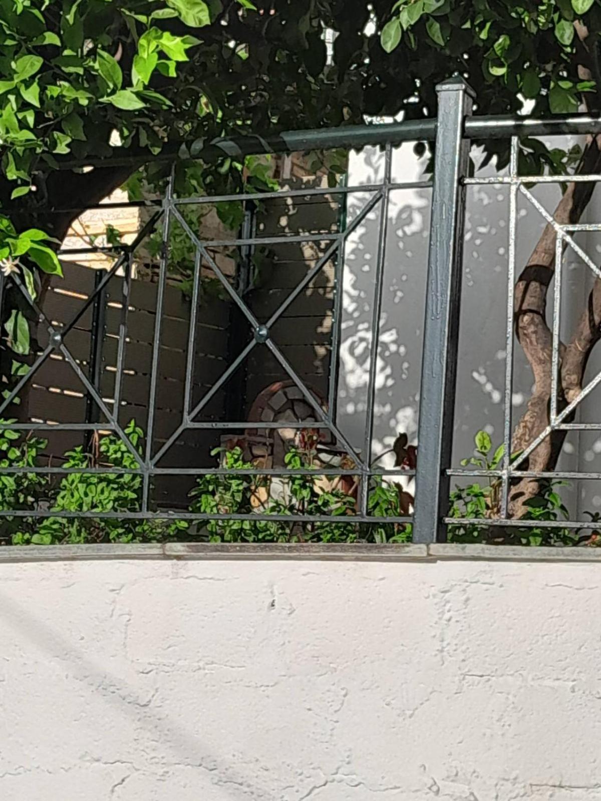 Вилла Πηλιο- Το Εξοχικο Τησ Αννασ- Αφησσοσ Афиссос Экстерьер фото